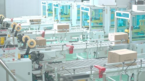 福貝寵食4.0智能工廠 引領(lǐng)寵物食品智能制造新時代